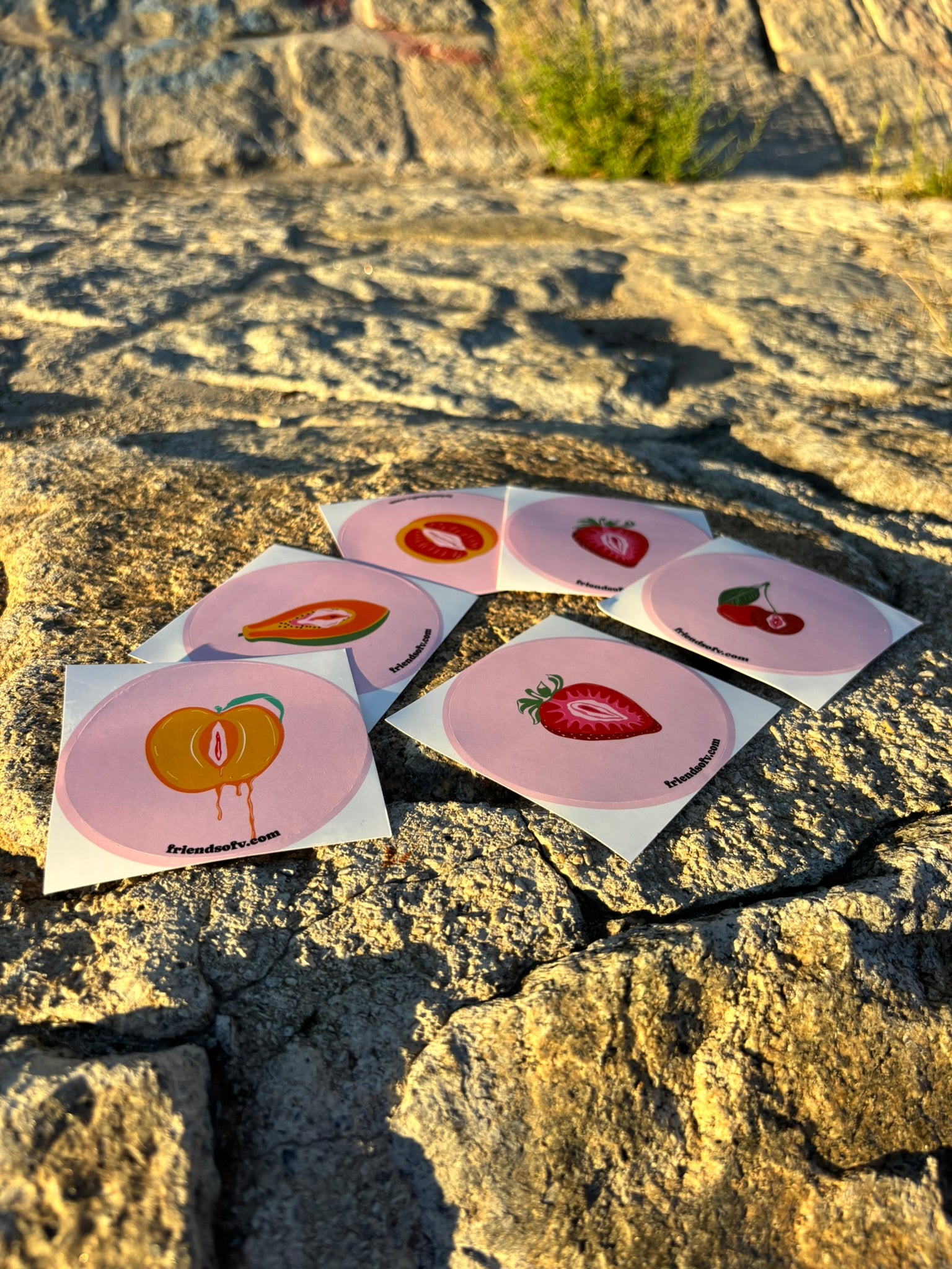 Made in Vagina Sticker